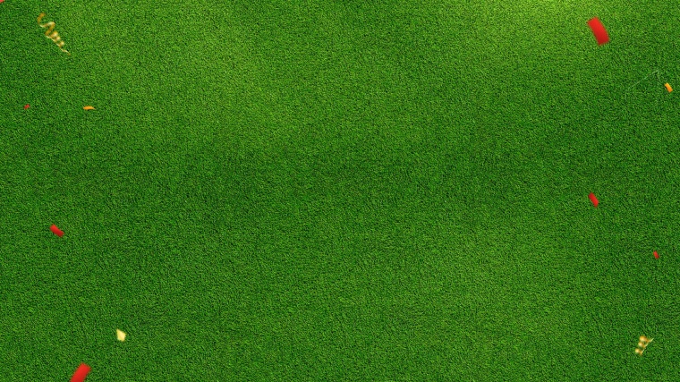 草地 草坪 绿地 绿色草地 足球比赛 世界杯 