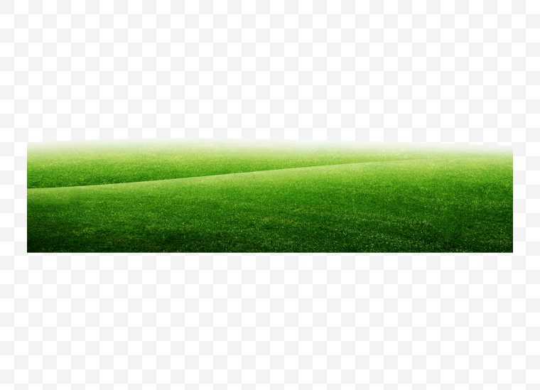 草地 草坪 绿地 绿色草地 足球比赛 