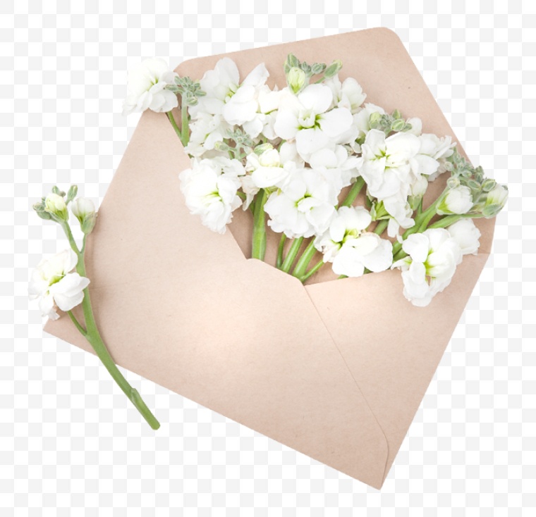 漂亮的花 花 鲜花 美丽的花 信封 婚礼 婚庆 