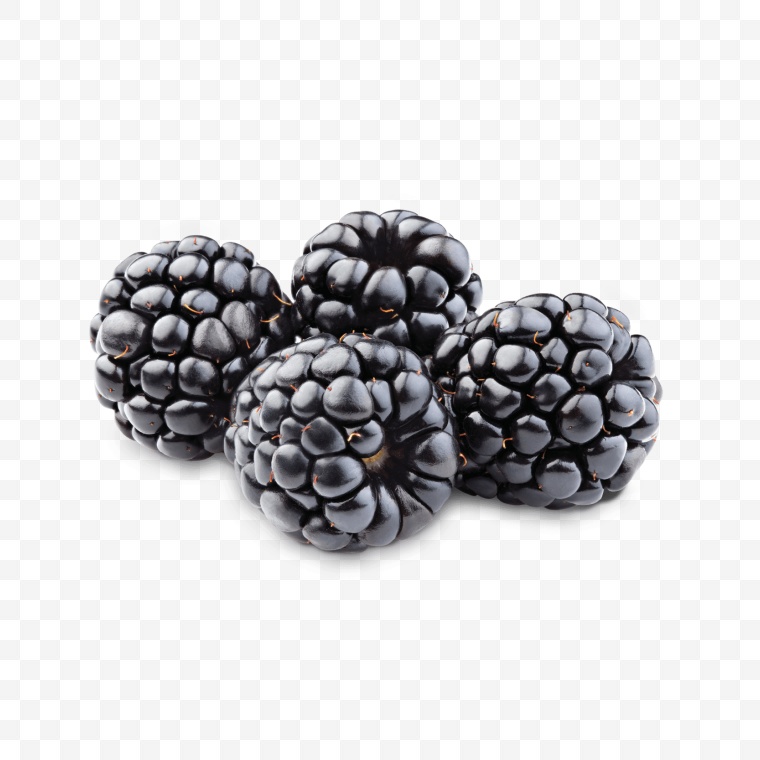 黑莓PNG素材 