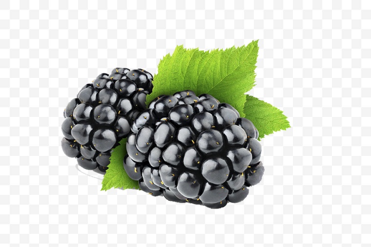 黑莓 水果 