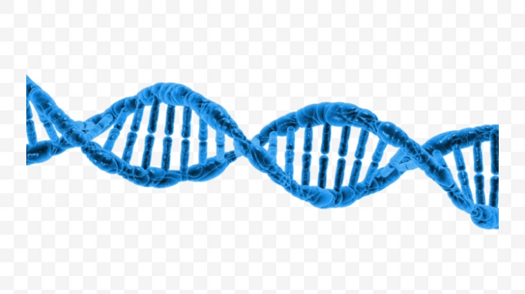 DNA 医学 医疗 科学 