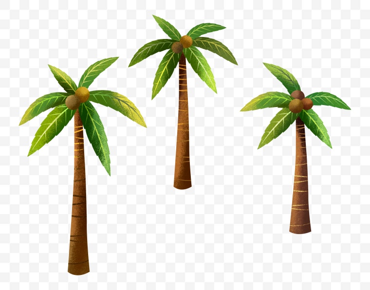 手绘椰树 卡通椰树 椰树 海滩 海边 夏天 夏季 夏 炎夏 夏天植物 夏天的树 夏天树木 