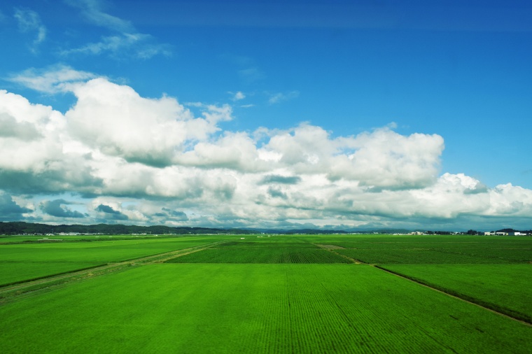 自然风景 农业 现代农业 田野 田地 天空 蓝天白云 云彩 云 绿色农业 CC0 