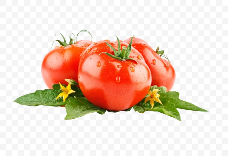 番茄 蔬菜 西红柿 