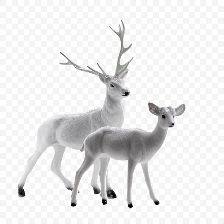 麋鹿 驯鹿 动物 白色麋鹿 白色驯鹿 圣诞节 圣诞 