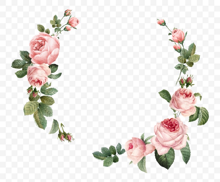 手绘玫瑰花 玫瑰花 花 粉色的花 情人节 爱情 浪漫 